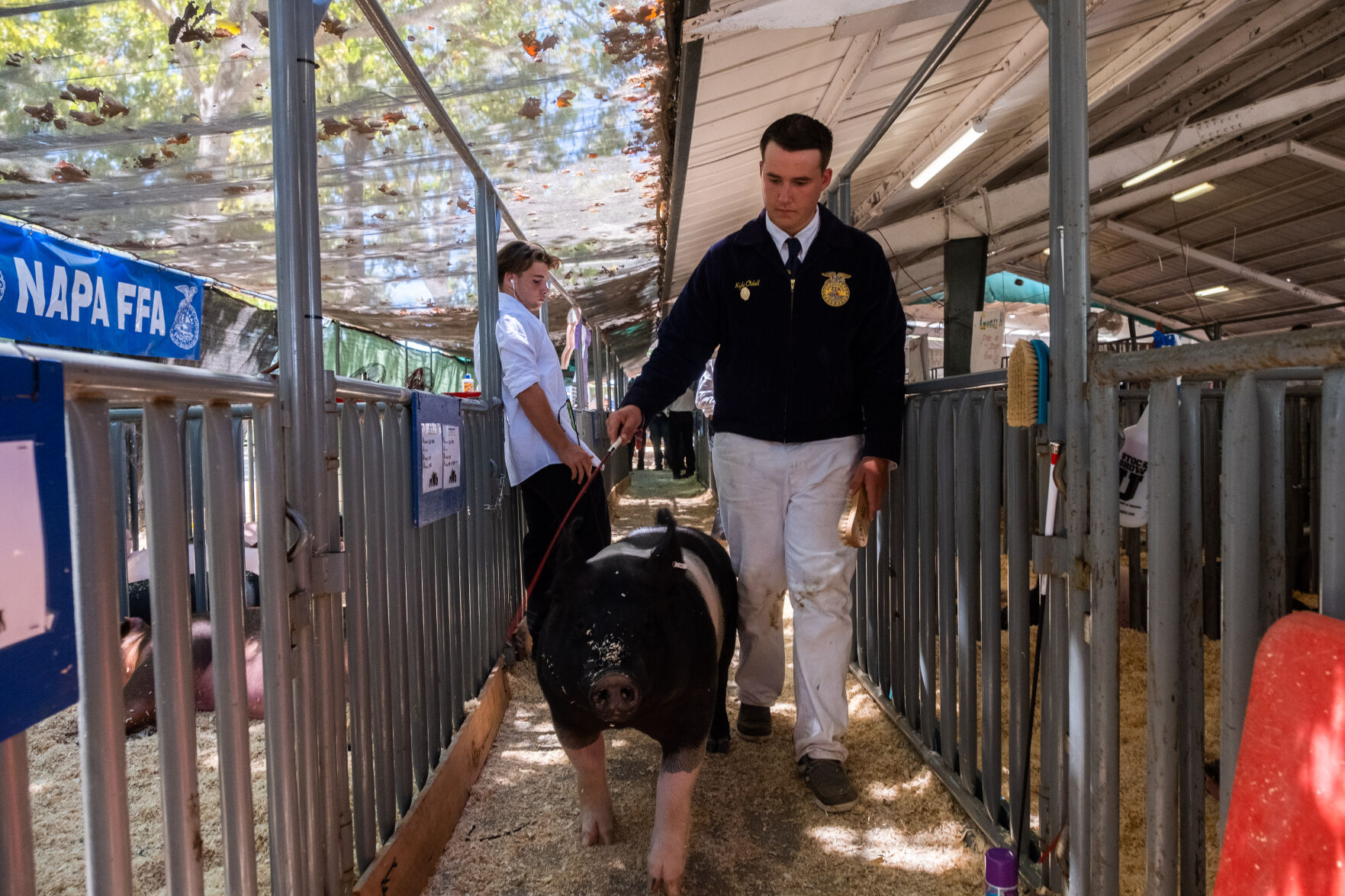 4-H at the Fair